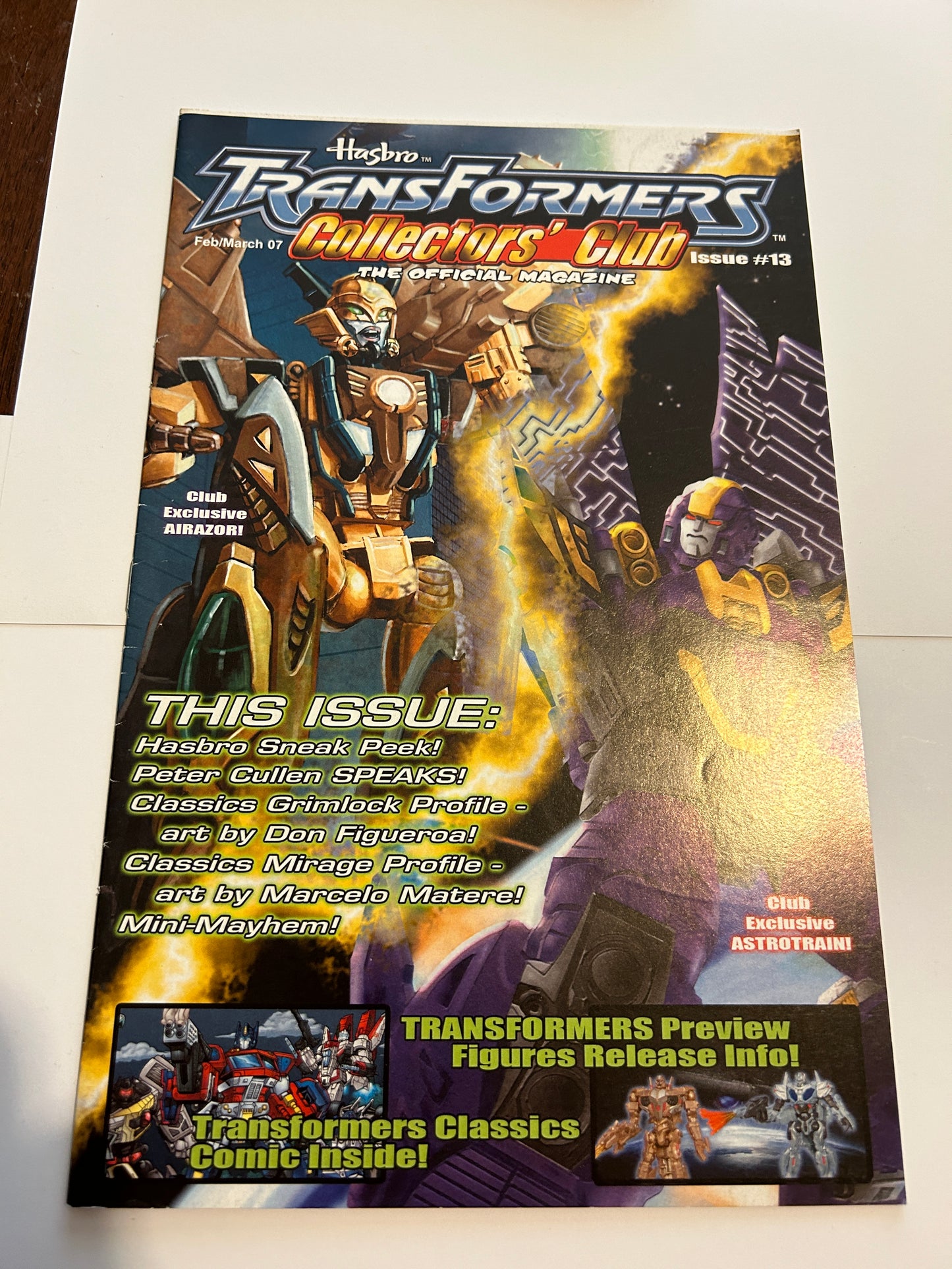 Botcon / TFCC membership mailer #13