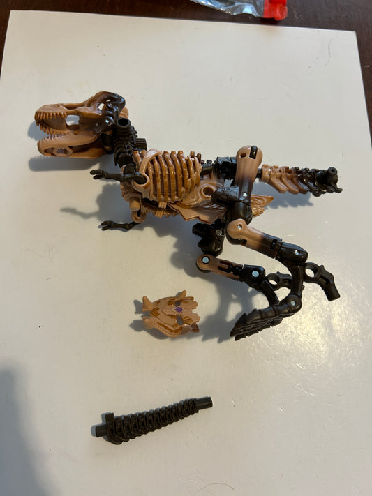 TF Kingdom Paleotrex